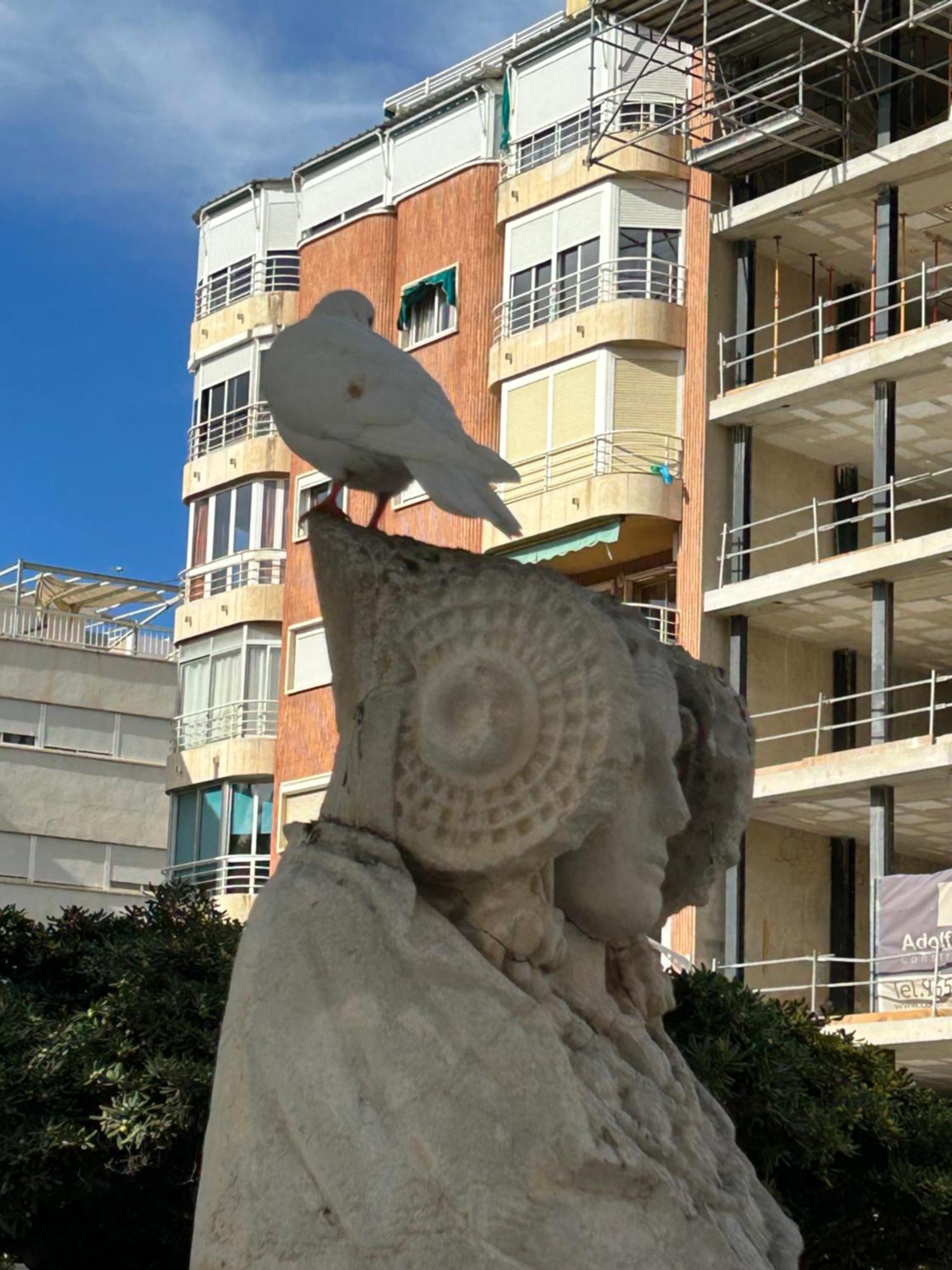 Private Apartment In The Old Town "Center&Beach" بينايدورم المظهر الخارجي الصورة